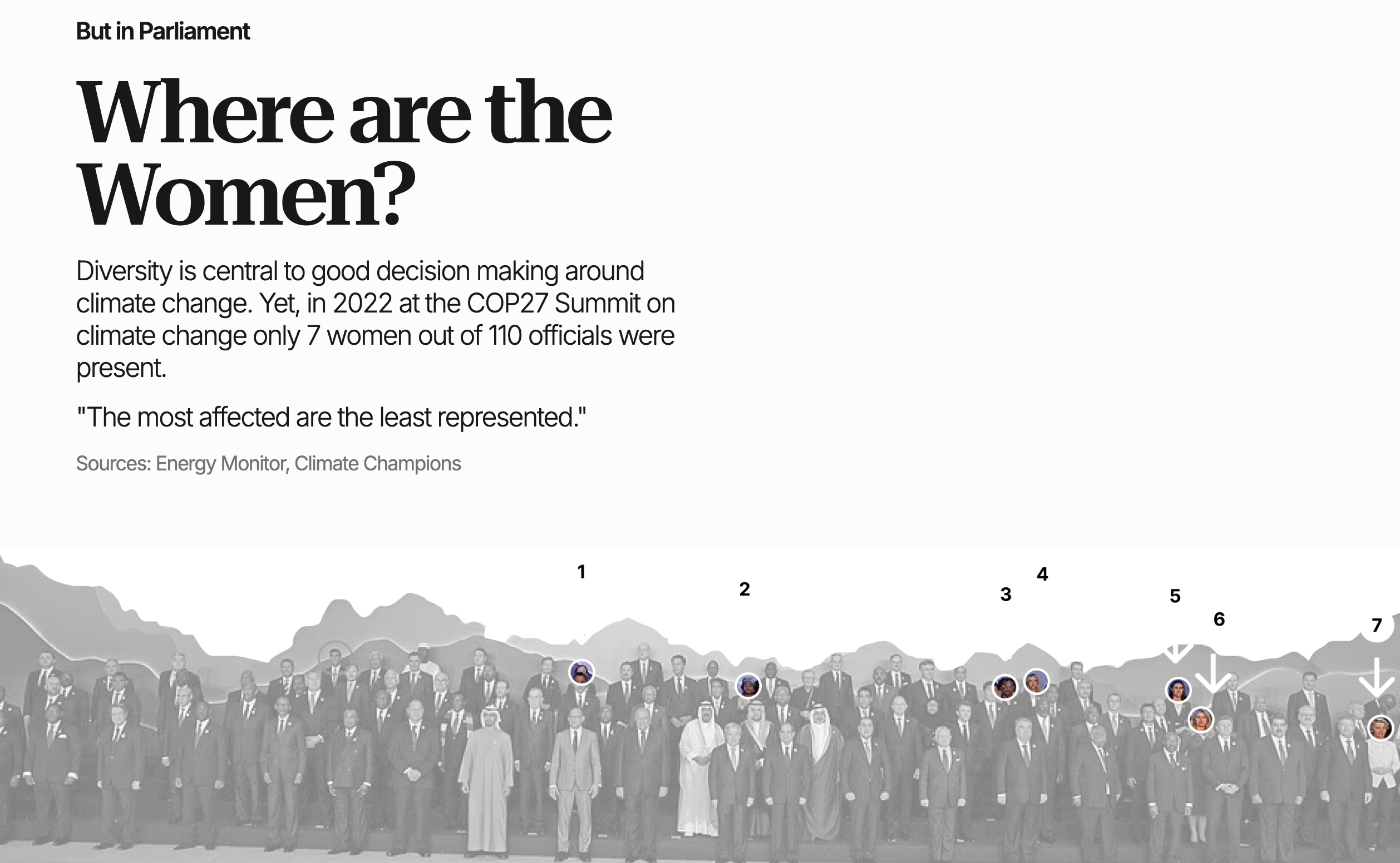 Women's representation at COP27